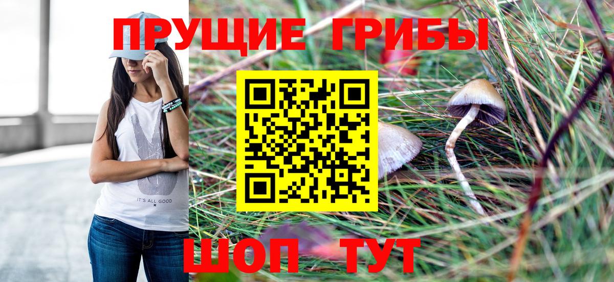 Псилоцибиновые грибы прущие грибы Лобня