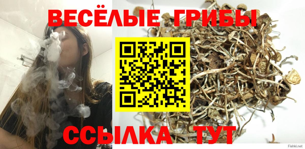 Лобня  Псилоцибиновые грибы мицелий  Вход с VPN 