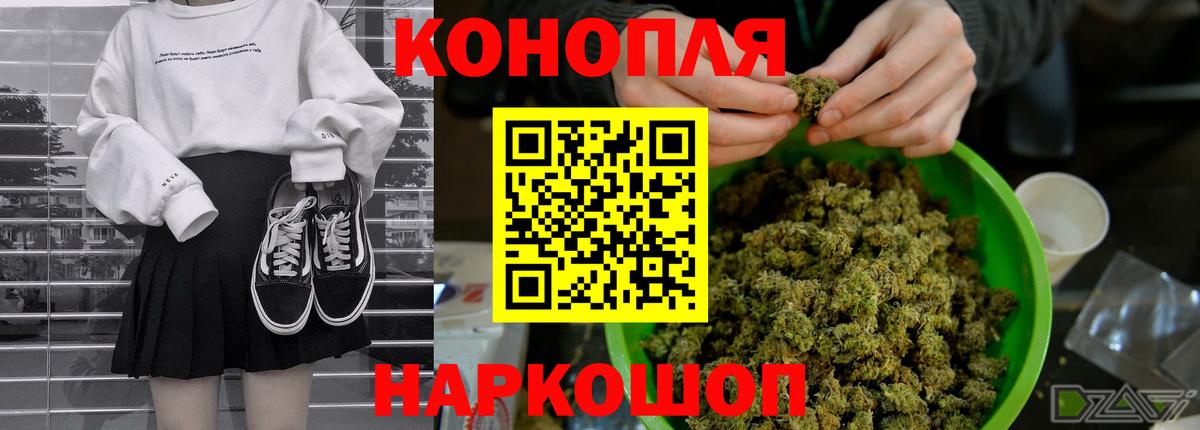 Бошки Шишки планчик Лобня